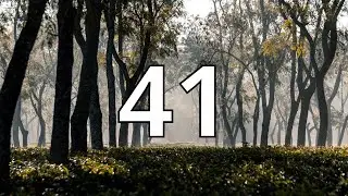 41 Second Countdown Timer With Alarm Sound At the End (Simple Beep)