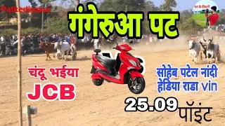 गंगेरुआ पट । चंदू भईया JCB राधे टाइगर Vs सोहेब पटेल नांदी हेडिया राडा vin  25.09 पॉइंट #bull #ox 