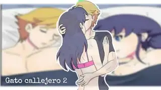 GATO CALLEJERO 2 |cómic miraculous ladybug | fandud latino | marinette fandud