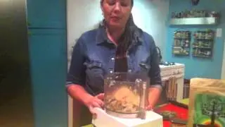 Happy Hemp Bean Pate.mov