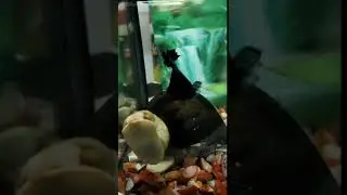 Snail's 🐌 Activity
