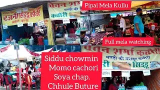special shopping and eating stall के दर्शन Siddu  Kachori momo chawmin Bargger बहुत खाते है कुल्लू