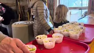 Squire Boone cavern visit | Laukhuf elementary school field trip 2025 