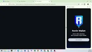How to Install Ronin Wallet on PC/Laptop/Browser?