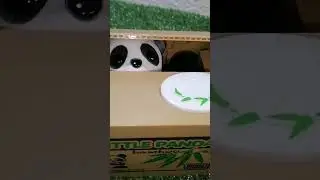 🌈🐱ASMR DEFECTIVE PANDA COIN BANK 4 #loop #coinbank #coindrop