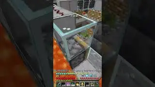 How to get infinite bones on Donut SMP