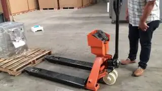 Pallet Jack scales   scale
