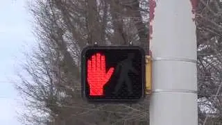 Neon ICC Pedestrian Signal