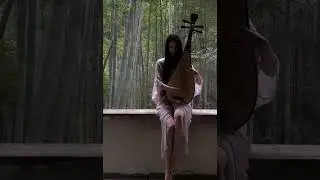 đ&agrave;n tỳ b&agrave;#pipa#cover#chinese music#nhachaymoingay #traditional chinese musical instruments