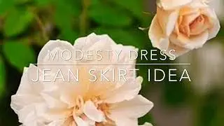 Modesty Dress and Jean Skirt Ideas