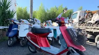 Honda TACT IVY 1980s 4tempo japanese retro moped  ретро мопед robogó Osaka Japan AF13 JDM mini bike
