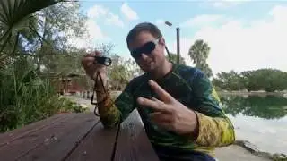 Devils Den Dive/ OrcaTorch D530 Light Review