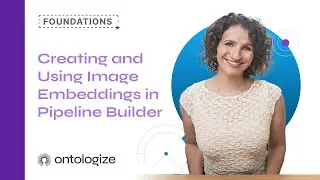 Creating and Using Image Embeddings in Pipeline Builder