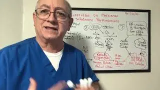 El Glutation. Radicales superoxidos, Explicación molecular del estres oxidativo