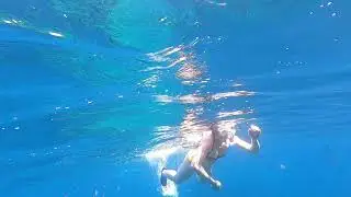 relitto Elviscot, Isola d'Elba