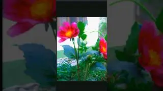 PicsArt filter Editing Tutorial 😱😱#viral #shorts