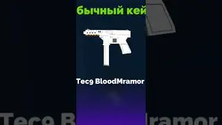 что мне выпадет из кейсов в FUN OF GANS