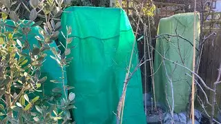 Большие расхождения в показаниях местного приложения погоды и моих датчиков температуры 😬