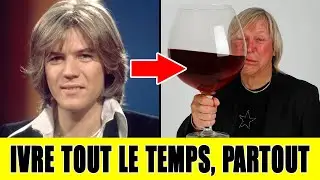 10 chanteurs homosexuels français toujours ivres – leurs vies cachées derrière les projecteurs