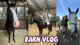 BARN VLOG #2- Riding Benji for the 1st time + killer flat lesson ✨