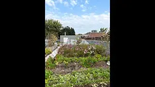 Toronto Brewery with a Rooftop Farm is Sustainability in Action!
