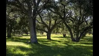 15558 Iron Canyon Road | Canyon Country, CA