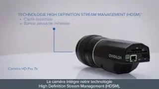 Cam&eacute;ra HD Pro Avigilon&trade; 7K  (30 MP)