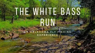 Fly Fishing for SPAWNING White Bass in a BEAUTIFUL CLEAR Creek!