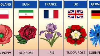 National flowers from different countries | Comparison