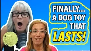 Dogs Deserve Better: The Best, Worst, and Most Absurd Pet Products #DogToyReview #PetPurchases