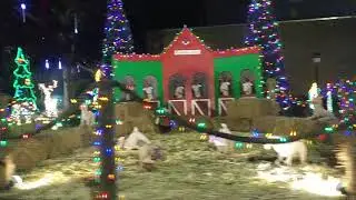 Holiday light show free Niceville Florida thank you to the city of Niceville!