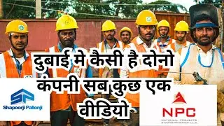 npc trojan company kaisa hai|Shapoorji Pallonji kaisi hai|#Shapoorji #npc #dubaijobs