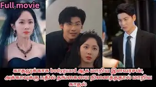 காதலுக்காக bodyguard ஆன இளவரசன், அக்காவுக்கு பதில் தங்கை  மாறிய காதல் #tamilexplain #cdramatamil