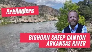 Arkansas River Fishing Conditions with ArkAnglers - Tremendous Terrestrial Activity Happening Now!