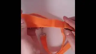 Dog Led Leash by  
