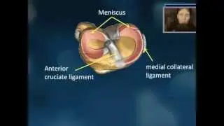 Medical Triads