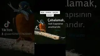 RİZK - EKMEK İLE OYNAMA