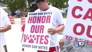 Animal advocates protest in Miami for better condtions at county shelters