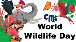 World Wildlife Day | CITES