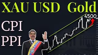 XAuUSD Gold Technical Analysis 12 to 16 January 2026
