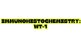 IMMUNOHISTOCHEMISTRY WT-1 (wilms tumor pathology)