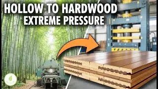 Inside a Bamboo Mill: From Moso Cane to Engineered Flooring B-50 Full Process Tour