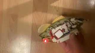200 sub robotic fish dissection