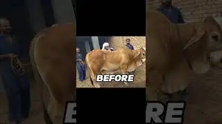 before And After ❤️