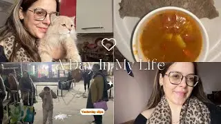 Spent the Whole Day Alone at Home 🏠 