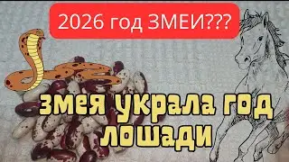 Великая Ошибка Календаря.Почему 2026 год не год Лошади