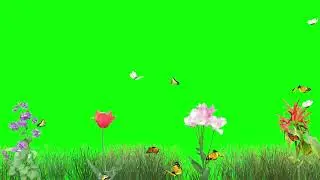 Nature Background  free Animated Green screen Video  Royalty Free NoCoprightVideo