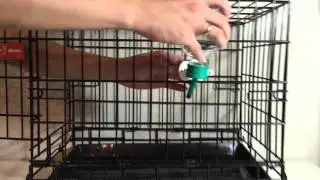 Choco Nose Screw-on Bracket Installation for Small Pet Water Bottle