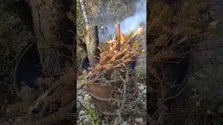 How effective is fire retardant planes drop on forest fires?? #alaska #aerialfirefighting