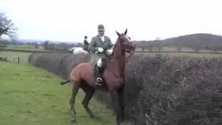 ledbury hedge jumping